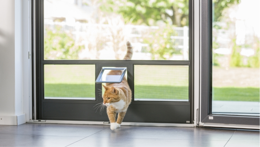 Neher Insektenschutz-Drehtür mit integrierter Katzenklappe; rote Katze geht durch die Klappe, stabile Aluminiumrahmen, kratzfestes Spezialgewebe für Haustiere.
