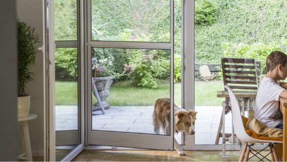 Videovorschau: Neher Pendeltür auch von Hunden bedienbar.