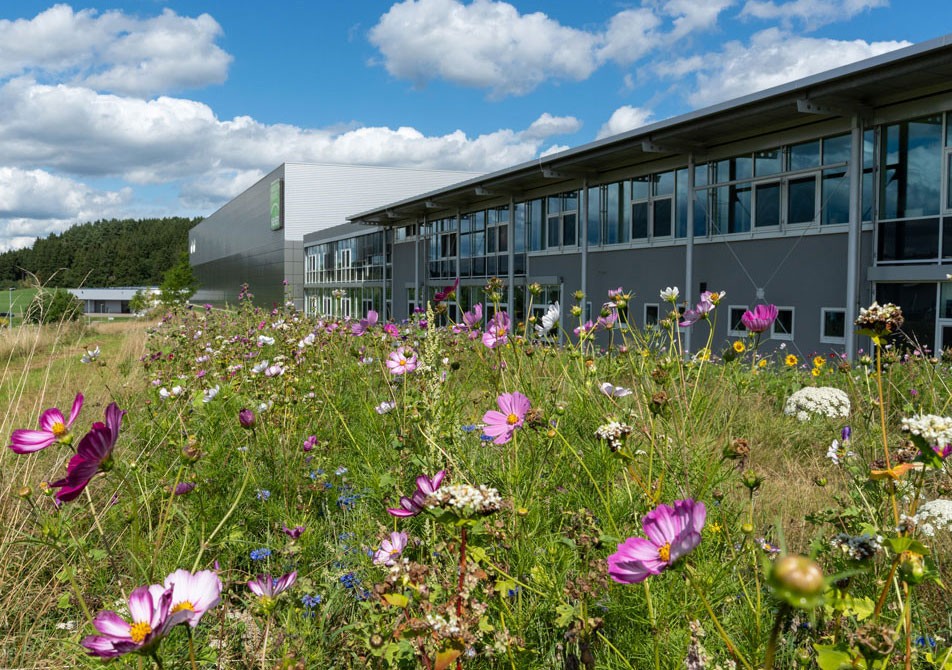 Blühende Neher Insektenschutzwiese mit bunten Wildblumen vor dem Firmengelände